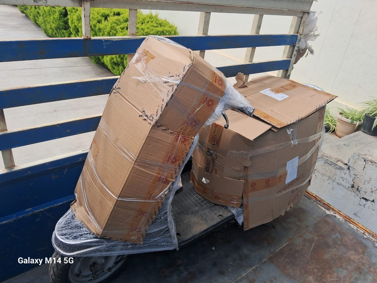 Sofa Packing